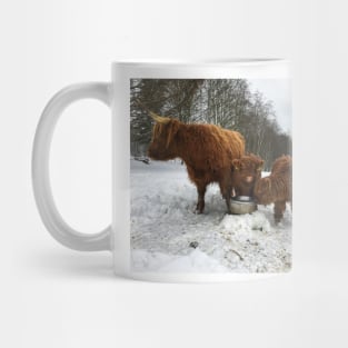 Scottish Highland Cattle Cow and Calves 1622 Mug